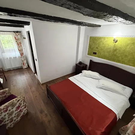 Pensiunea Casa Rica-2